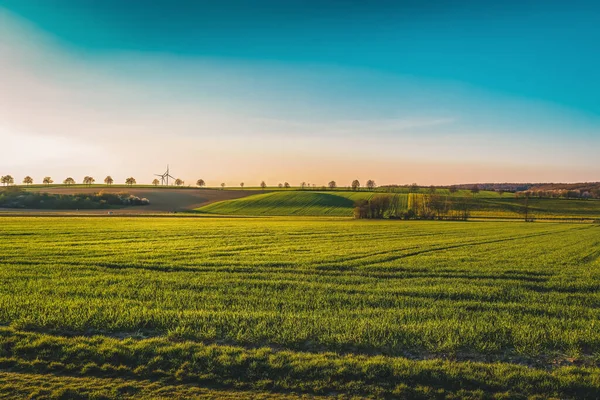 Солнечный Красочный Вечерний Пейзаж Лугами Полями — стоковое фото