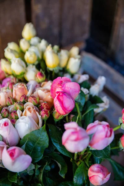 Rosas Rosadas Amarillas Begonias Sin Florecer Con Fondo Borroso Expositor — Foto de Stock