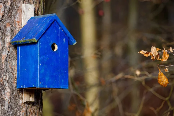 Vogelhuisje Aan Een Boom Het Park — Stockfoto