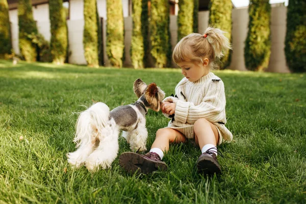 Miúdo Brinca Com Cão Engraçado Jardim Criança Com Cachorro Sentado — Fotografia de Stock