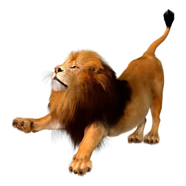 Darstellung Eines Niedlichen Löwen Isoliert Auf Weißem Hintergrund — Stockfoto