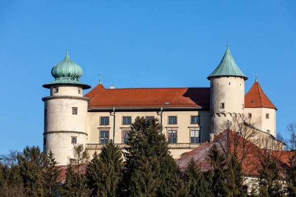 Vista Del Castillo Del Casco Antiguo Tallinn — Foto de Stock