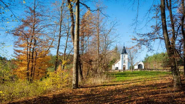 Церковь Осеннем Лесу — стоковое фото
