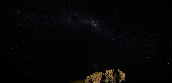 Nocne Niebo Galaktyką Milkyway Nad Małymi Krzewami Drzew Widzianymi Anakao — Zdjęcie stockowe