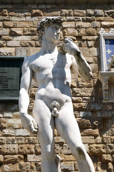 Előtt Palazzo Vecchio Florence Olaszország Michelangelo Dávid Szobra — Stock Fotó