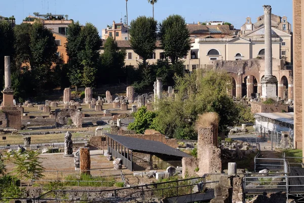 Forum Romain Antique Site Patrimoine Mondial Unesco Rome Latium Italie — Photo