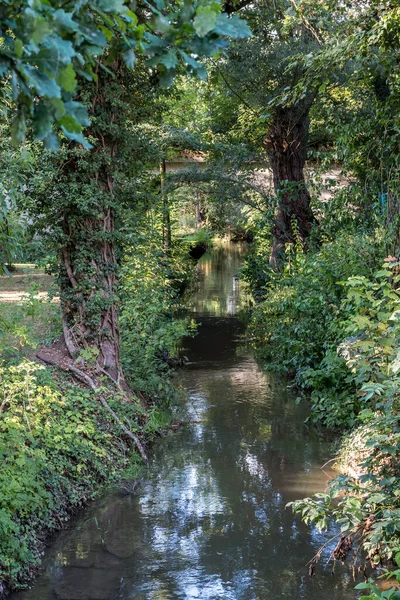 Pequena Ponte Através Pequeno Riacho Campo Verde — Fotografia de Stock