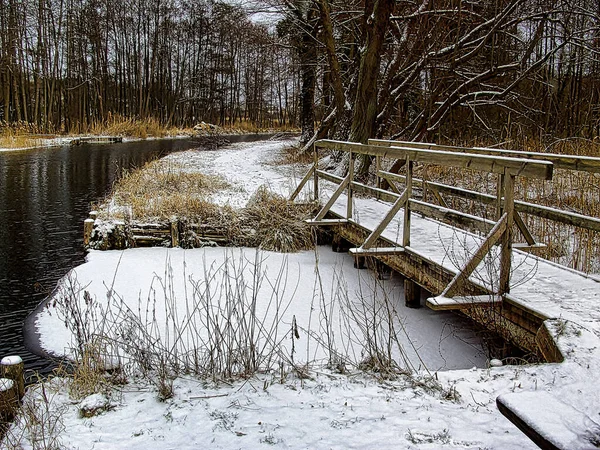 Pont Bois Dans Forêt — Photo