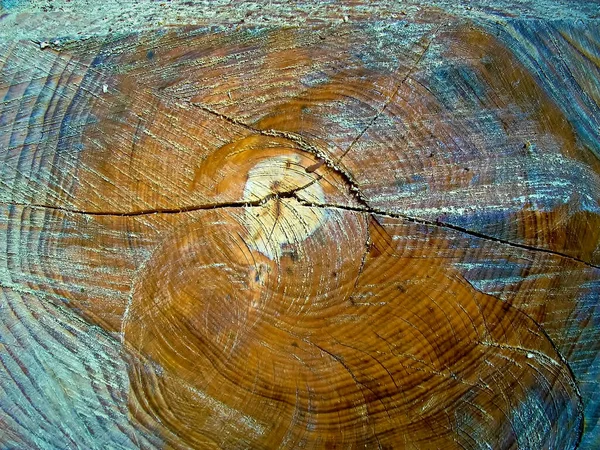 Текстура Старого Дерева — стокове фото