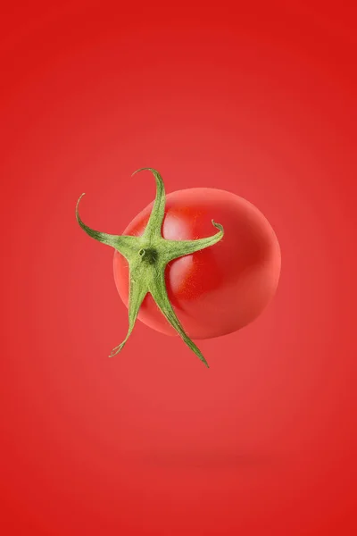 最小限の野菜コンセプト 影と明るい赤の背景に1つの全体のトマト デザイン要素 場の深さ — ストック写真