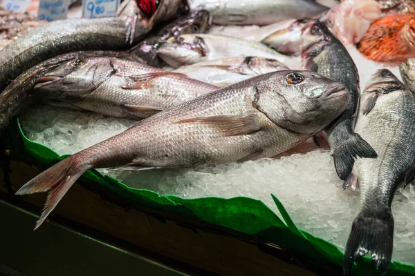 Pesce Fresco Crudo Orata Testa Oro Dorada Vendita Nel Mercato — Foto Stock
