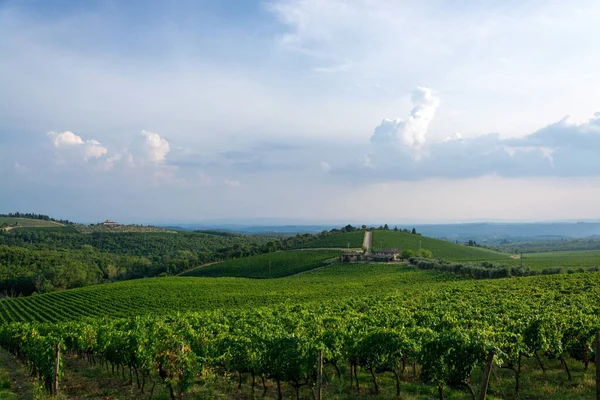 Bella Vista Sul Vigneto Toscana Italia — Foto Stock