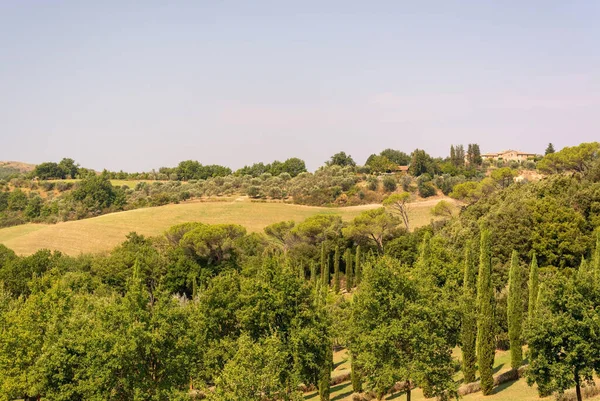 Prachtig Uitzicht Het Platteland — Stockfoto