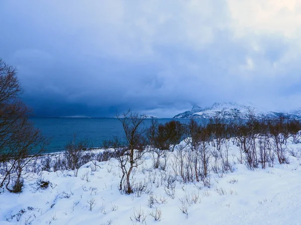 Hermoso Paisaje Con Árboles Cubiertos Nieve Montañas —  Fotos de Stock