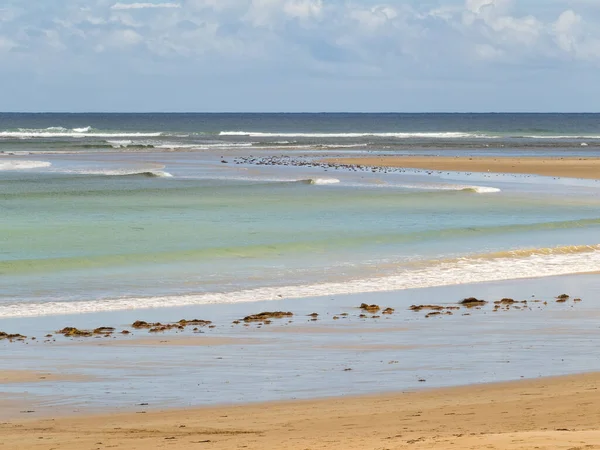 Delikatne Fale Myją Piaszczystą Plażę Pochmurne Późne Letnie Popołudnie Torquay — Zdjęcie stockowe