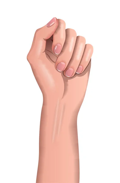 Hand Houden Van Een Mooie Vrouwelijke Handen Met Een Manicure — Stockfoto