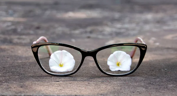 Glasögonen Marken Och Vita Blommor Synliga Genom Linserna — Stockfoto