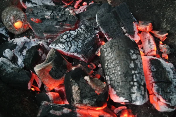 Feu Sur Les Bûches Dans Casserole Avec Des Braises Charbon — Photo