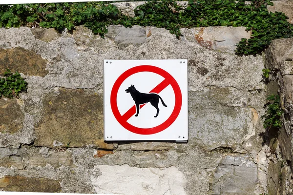狗或宠物不准入内 墙上有警告标志 — 图库照片