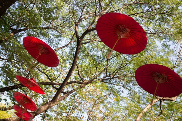 Red Umbrella Park — Stock Photo, Image