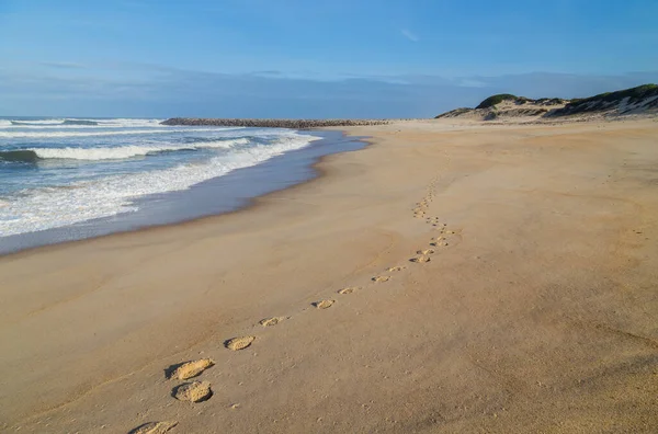 Beautiful View Sea Coast — Stock Photo, Image