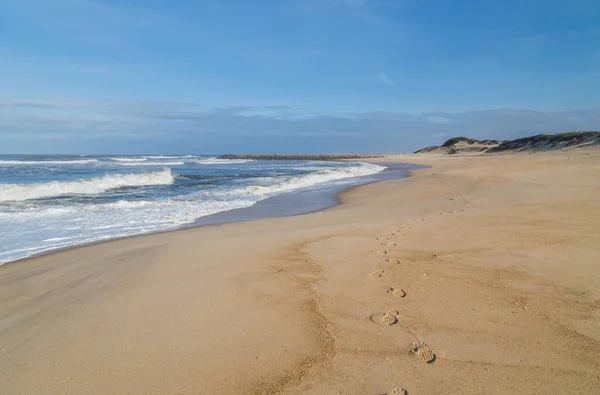 Vacker Utsikt Över Havet Kusten — Stockfoto