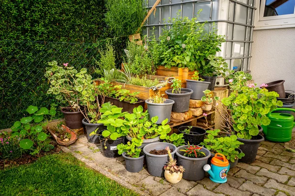 Kruidenpiramide Een Tuin Neder Beieren Duitsland — Stockfoto