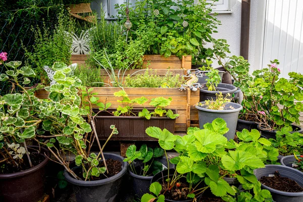 Herbal Pyramid Garden Lower Bavaria Germany — Stock Photo, Image