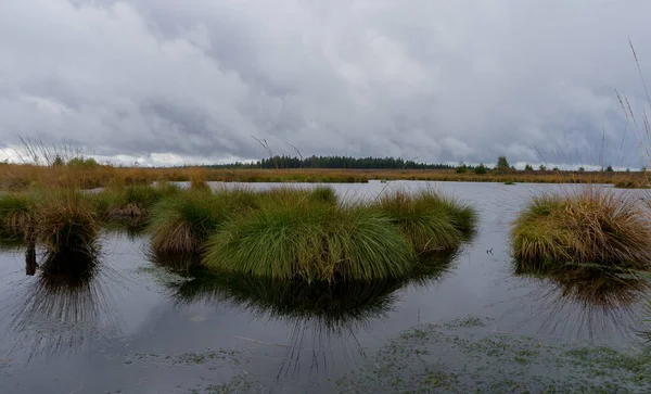 Bela Paisagem Com Rio Lago — Fotografia de Stock