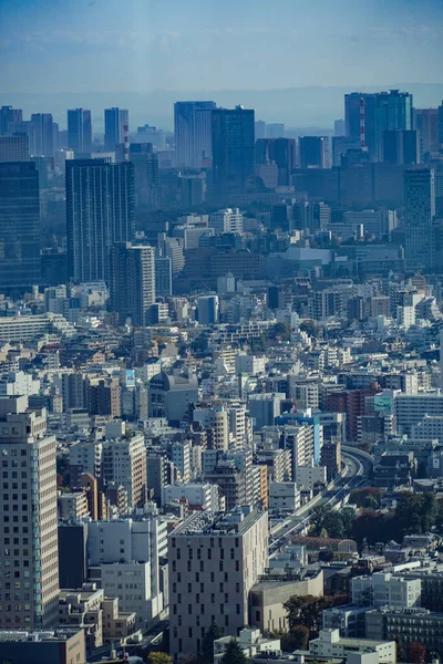 도쿄의 스카이라인은 천문대 선샤인에서 관측되었다 도심지 — 스톡 사진