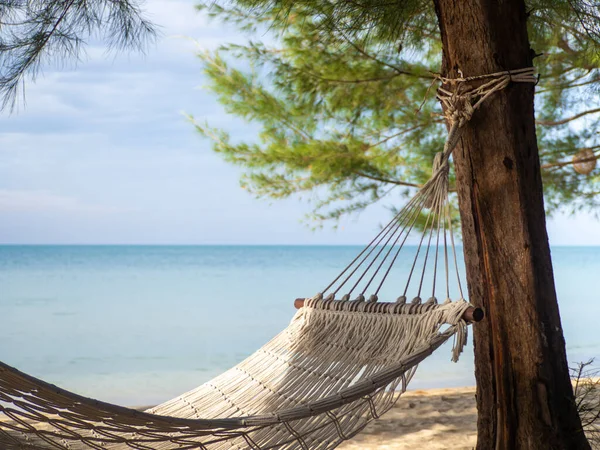 Hamaca Colgaba Del Árbol Fondo Están Mar Playa —  Fotos de Stock