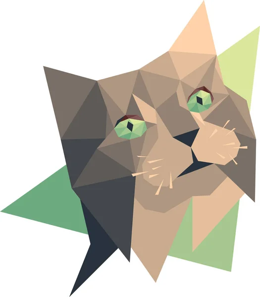 Vector Illustration Cat — Stock Photo, Image