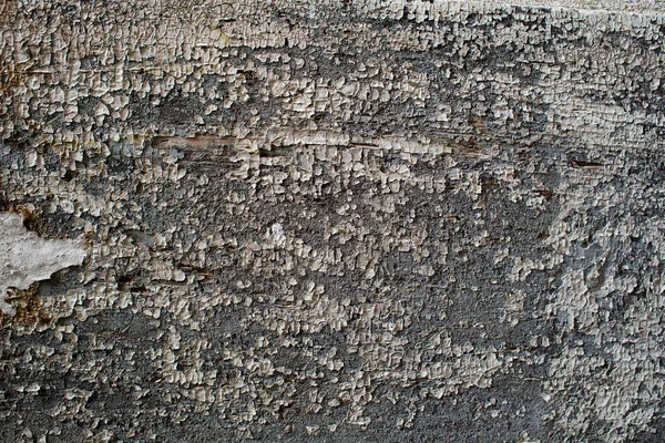 Sfondo Texture Legno Grigio Proveniente Albero Naturale Pannello Legno Bellissimo — Foto Stock