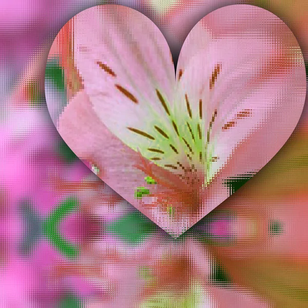 Beautiful Valentine Background Abstract Heart Pink Red Colors Flowers — Stock Photo, Image