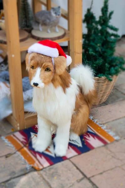 圣诞节期间的狗 — 图库照片