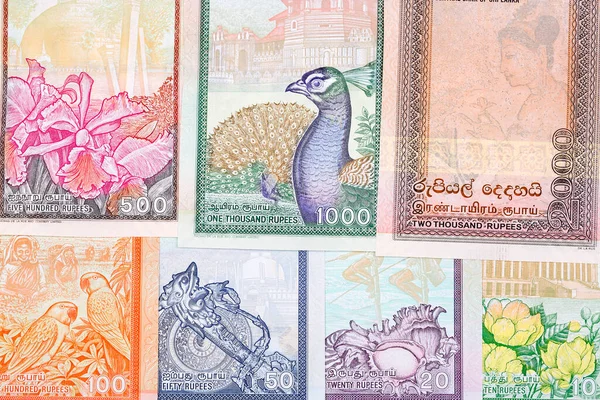 Dinheiro Velho Sri Lanka Rupia Fundo Negócios — Fotografia de Stock