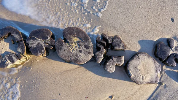 Stenen Het Strand — Stockfoto