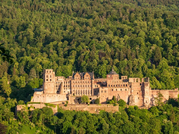 Het Kasteel Neuschwanstein Bergen — Stockfoto