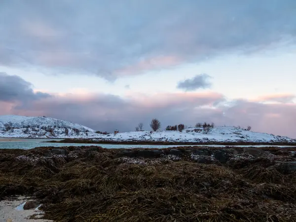 Beau Paysage Avec Une Rivière Lac Arrière Plan — Photo