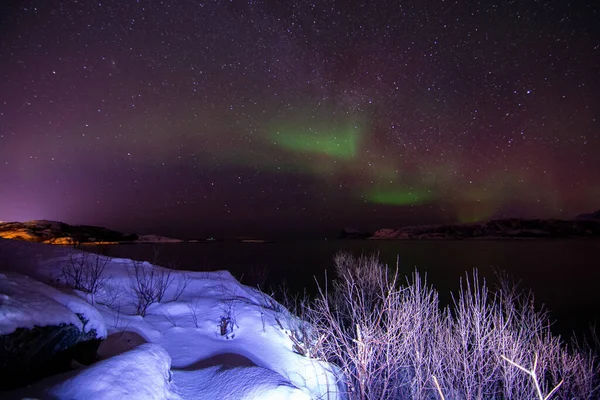 Yıldızlı Karlı Güzel Gece Gökyüzü — Stok fotoğraf