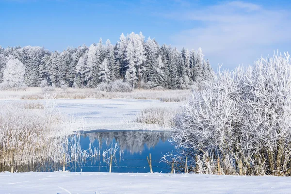 Winterlandschaft Mit Schneebedeckten Bäumen — Stockfoto