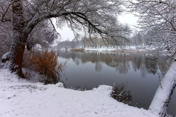 Snowy Zimowy Krajobraz Spokojną Rzeką Lub Jeziorem Odzwierciedlające Okoliczne Drzewa — Zdjęcie stockowe