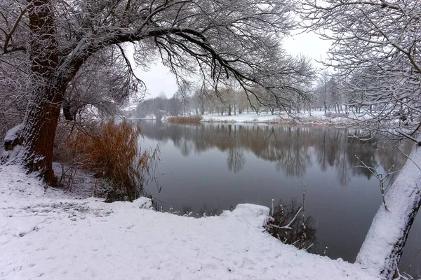 Paysage Hivernal Enneigé Avec Rivière Lac Tranquille Reflétant Les Arbres — Photo