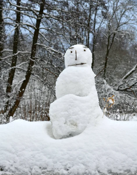 Kar Beyaz Kardan Adam — Stok fotoğraf