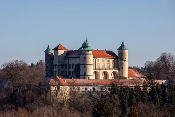 Castello Della Torre Teutonica Nel Centro Storico Tallinn — Foto Stock