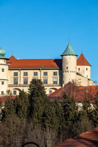 Tallinn Estonya Nın Manzarası — Stok fotoğraf