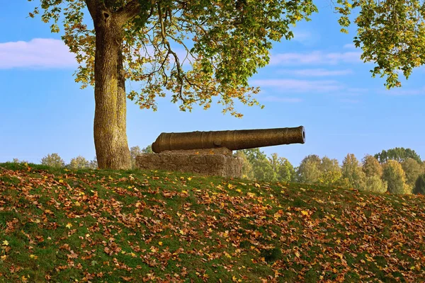 Stor Hög Ett Trästaket Med Röd Och Blå Himmel — Stockfoto