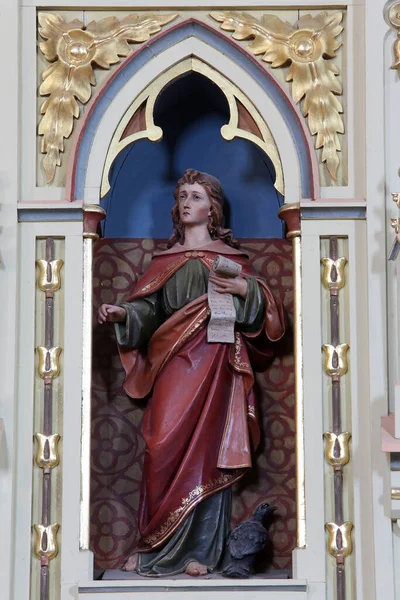 Святий Іоанн Євангеліст Кафедрі Церкві Святого Матвія Штитарі Хорватія — стокове фото