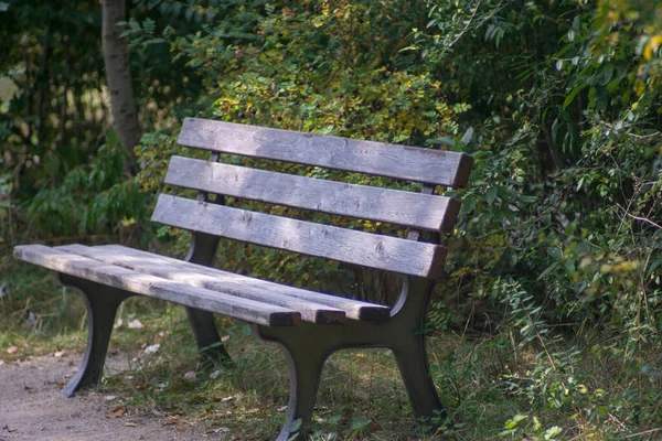 Banc Dans Parc — Photo