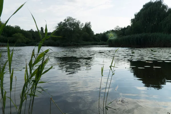 Parque Zeigelei Com Lago Heilbronn Tempo Tanto Sombrio Principalmente Água — Fotografia de Stock